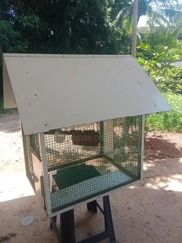කුඩා සතුන් නැතිකිරීමට
