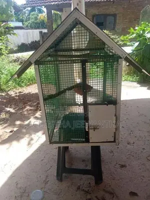 කුඩා සතුන් නැතිකිරීමට