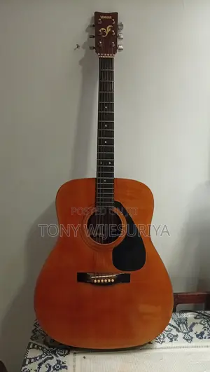 Acoustic Guitar + Case