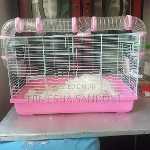 Hamster