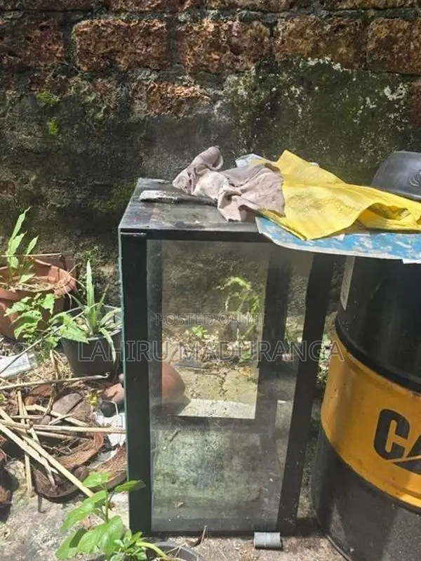 Fish Tank