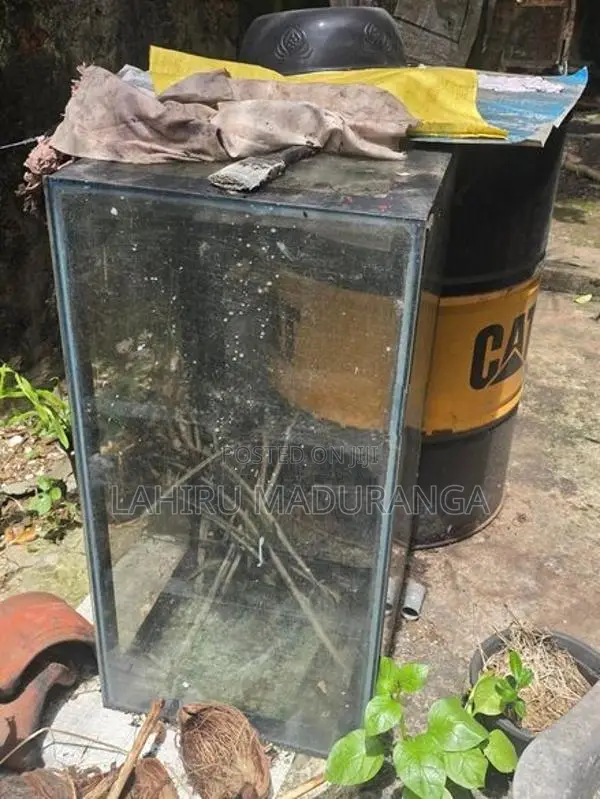 Fish Tank