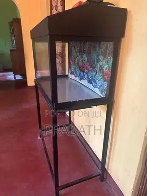 Fish Tank Full Set With Light