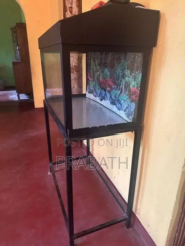 Fish Tank Full Set With Light