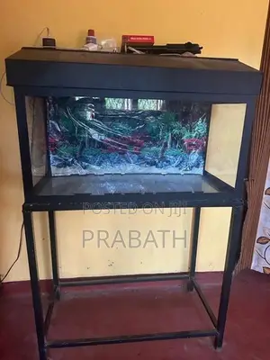 Fish Tank Full Set With Light