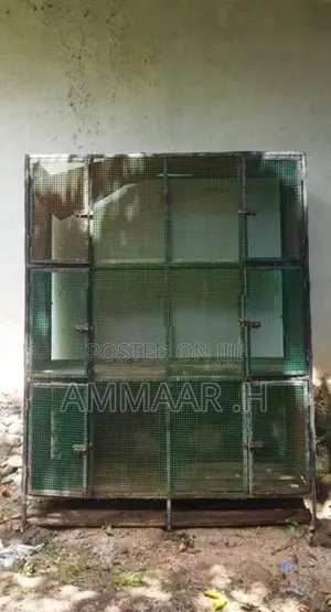 Bird Cage