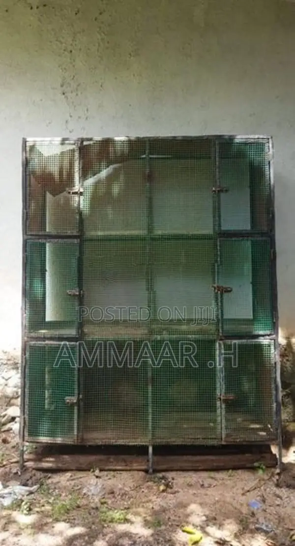 Bird Cage