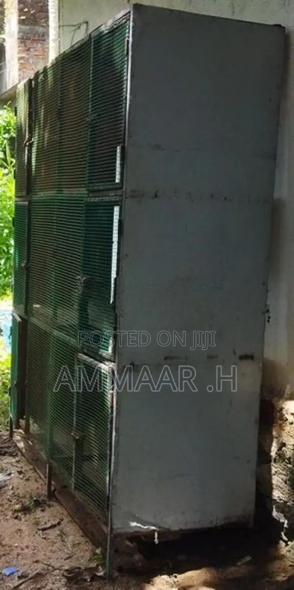 Bird Cage
