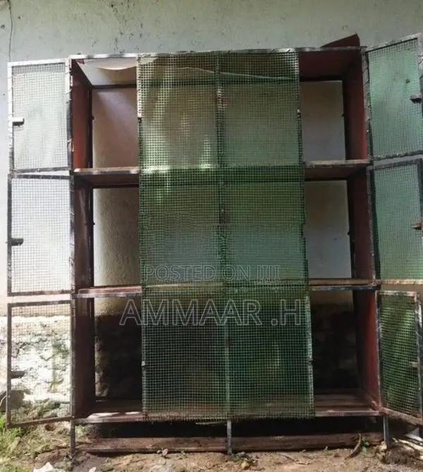 Bird Cage