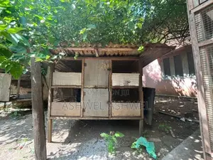 Used Cage