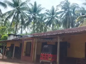 Niwasaka Siyaluma Dewa Dadu