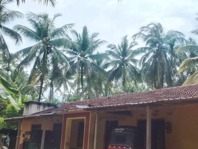 Niwasaka Siyaluma Dewa Dadu