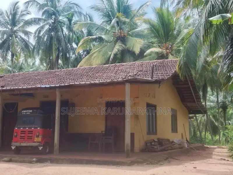 Niwasaka Siyaluma Dewa Dadu