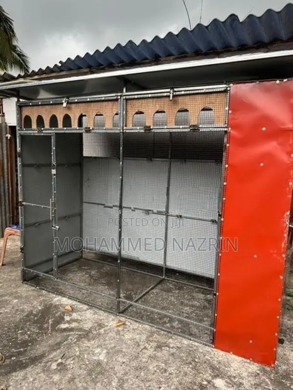 Pigeon Cage