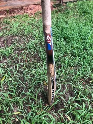 Cricket Bat
