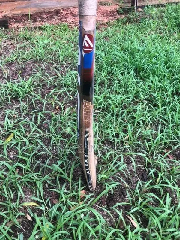 Cricket Bat