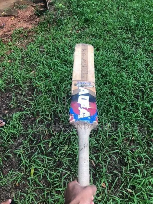 Cricket Bat