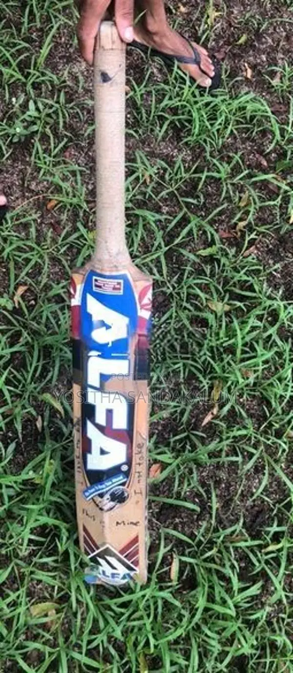 Cricket Bat