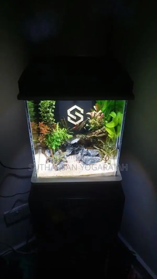 Planted Fish Tank / Aquarium