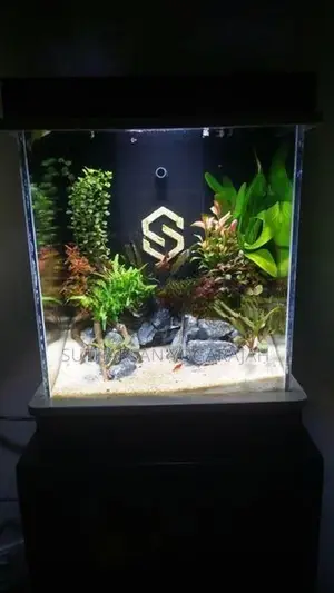 Planted Fish Tank / Aquarium