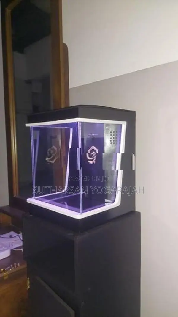 Planted Fish Tank / Aquarium