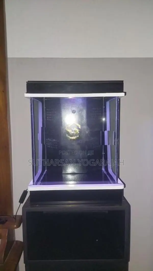 Planted Fish Tank / Aquarium