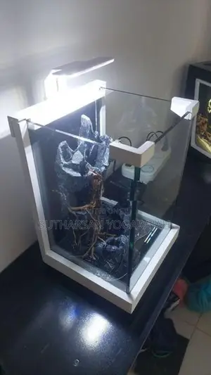 Planted Fish Tank