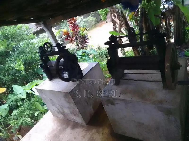 රබර් රෝල්