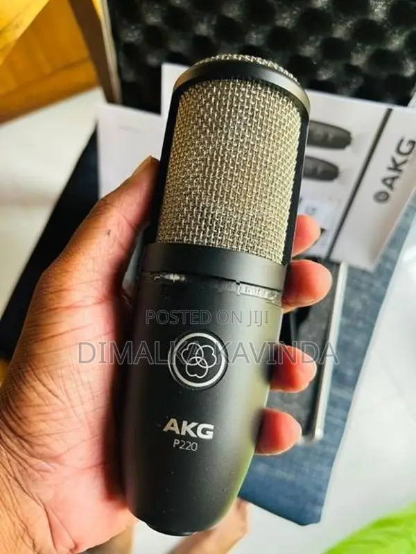 Akg P220 Condenser Mic