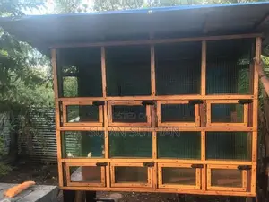 Birds Cage
