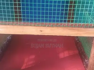 Birds Cage
