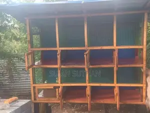 Birds Cage