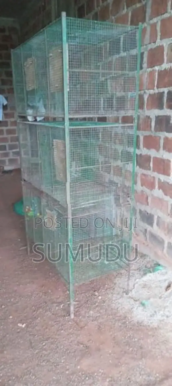 Bird Cages