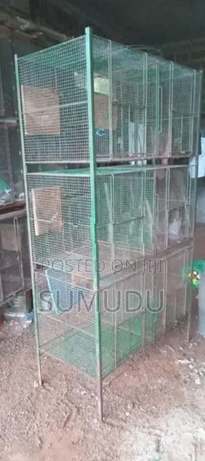 Bird Cages
