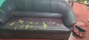 Piyestra Sofa