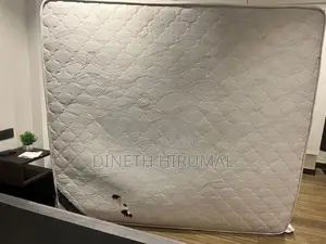 Spring Pal Matress