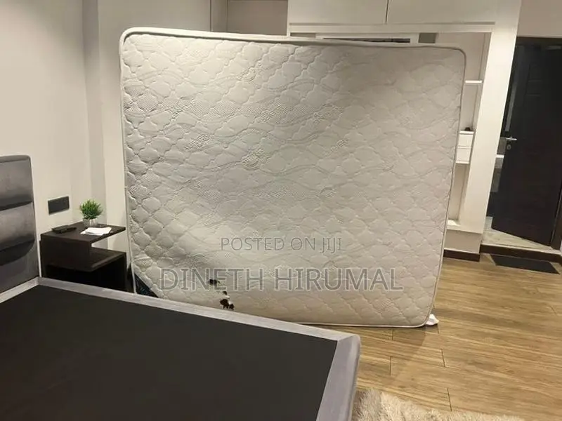 Spring Pal Matress