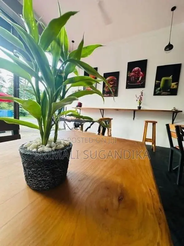 Cafe Furniture - Tables & Chairs