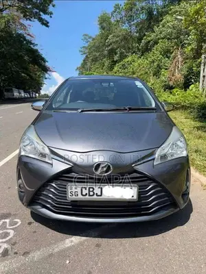 Toyota Vitz 2019 Car (Used)