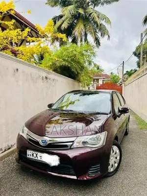 Toyota Axio 2014 Car (Used)