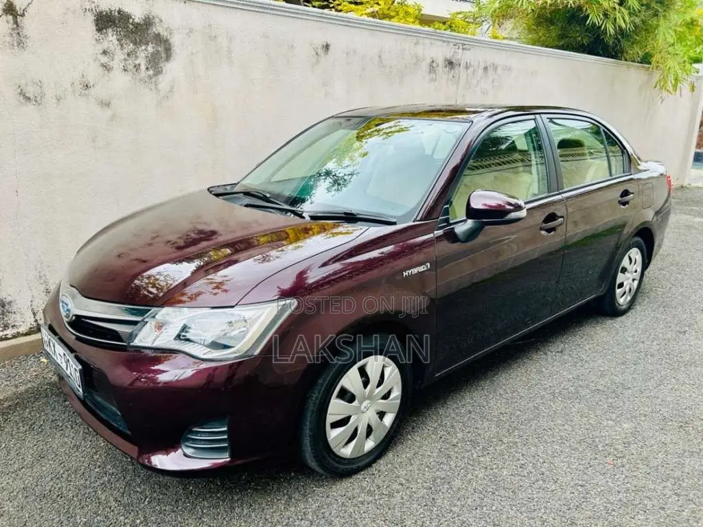 Toyota Axio 2014 Car (Used)