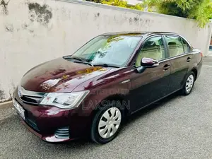 Toyota Axio 2014 Car (Used)