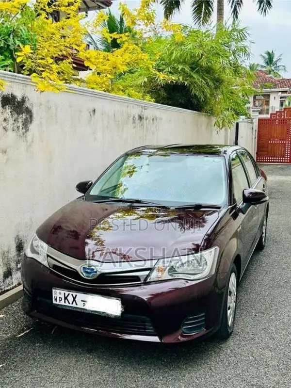 Toyota Axio 2014 Car (Used)