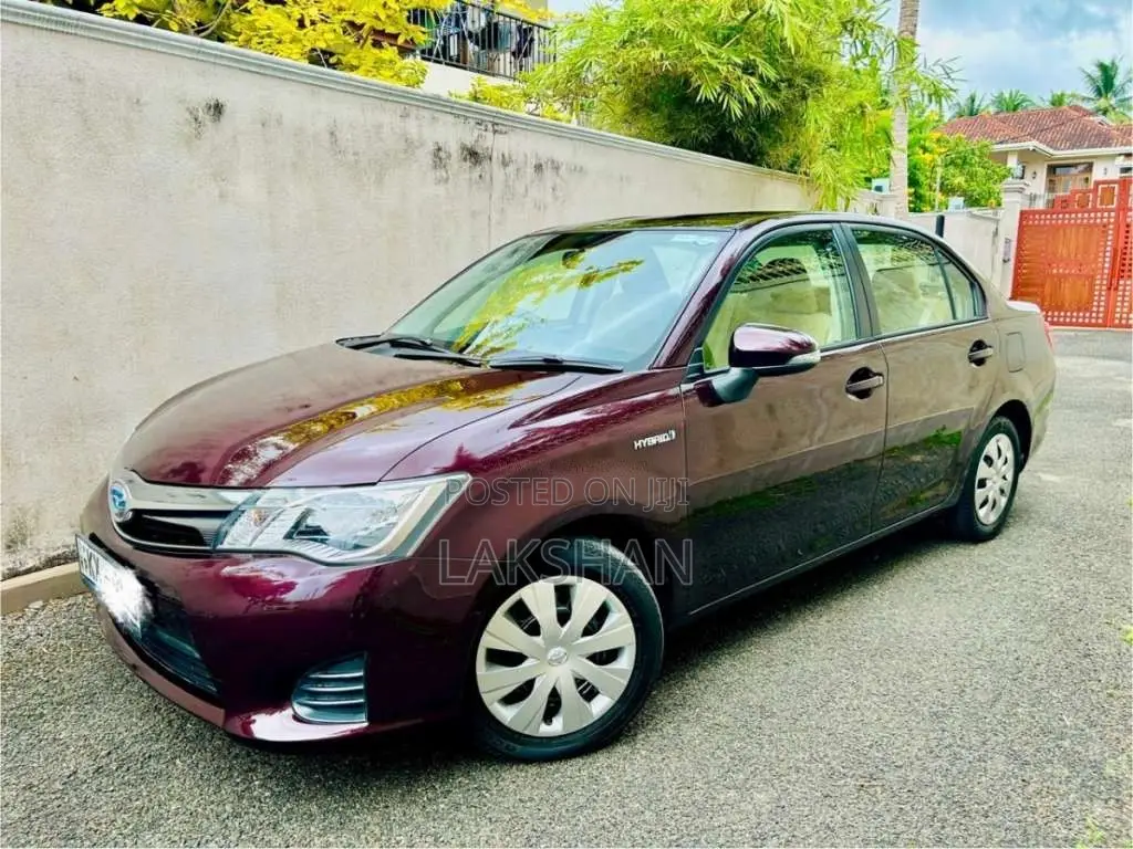Toyota Axio 2014 Car (Used)