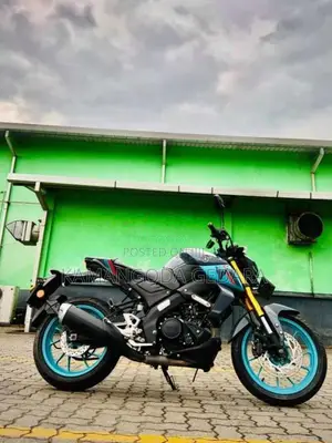 Yamaha MT-15 2025 Motorbike (Used)