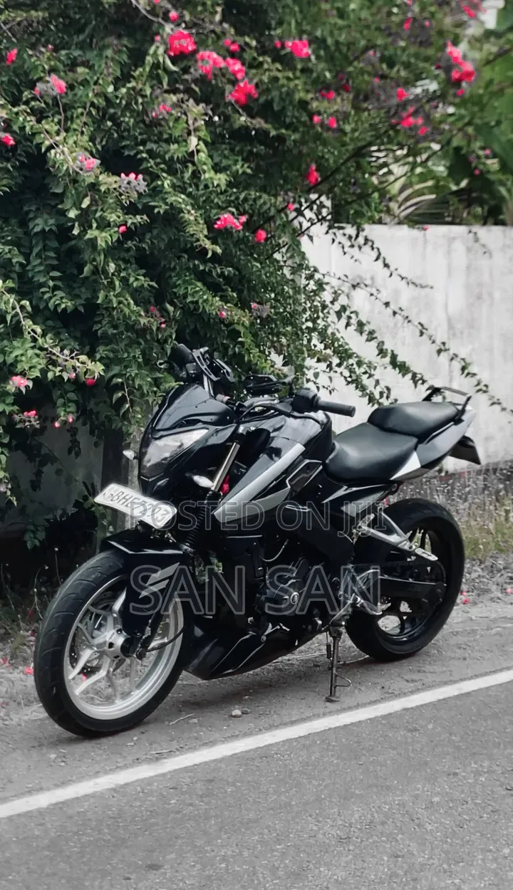 Bajaj Pulsar NS 200 2018 Black