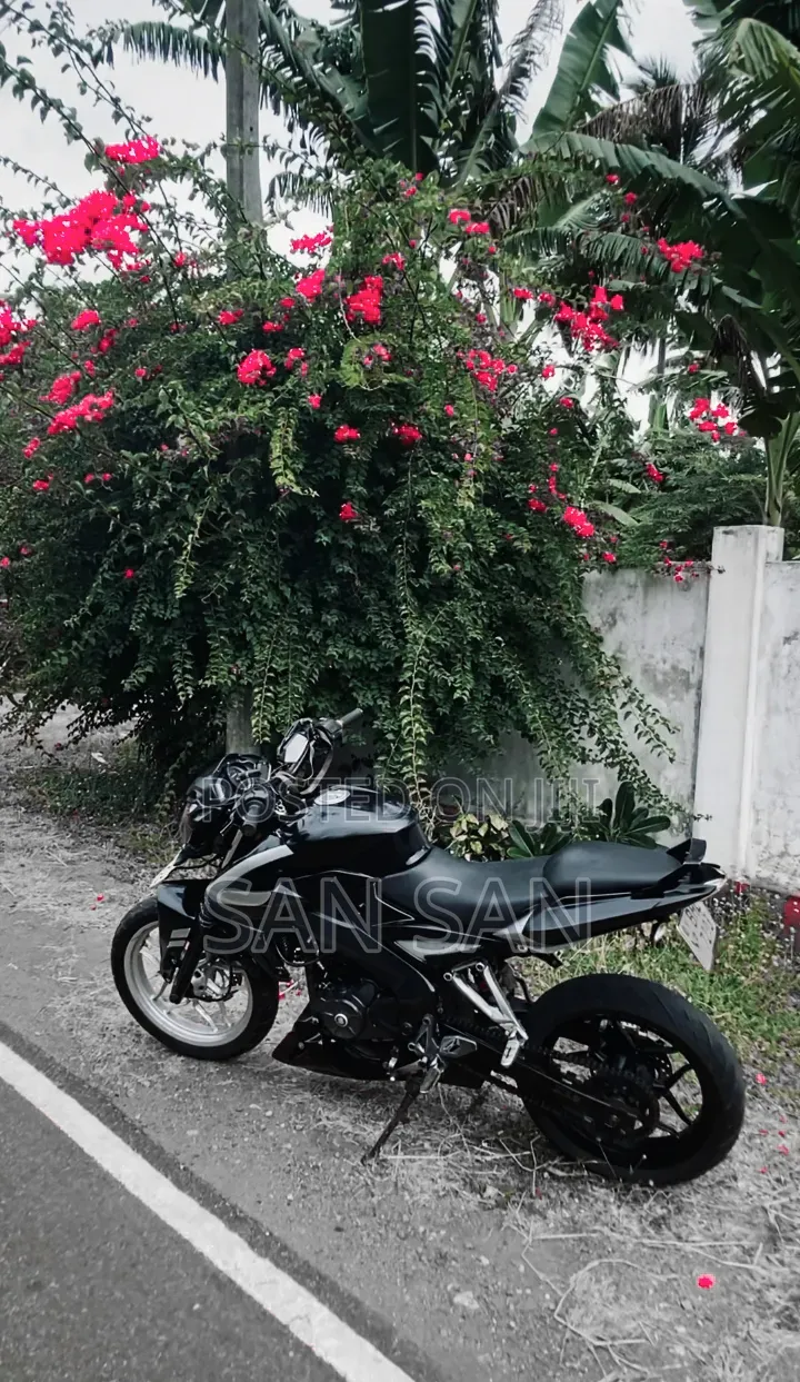 Bajaj Pulsar NS 200 2018 Black