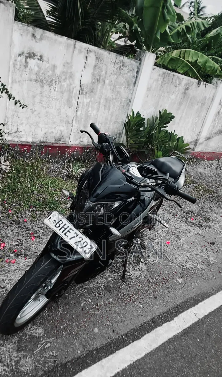 Bajaj Pulsar NS 200 2018 Black