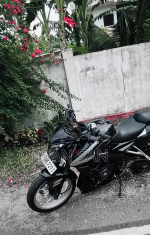 Bajaj Pulsar NS 200 2018 Black