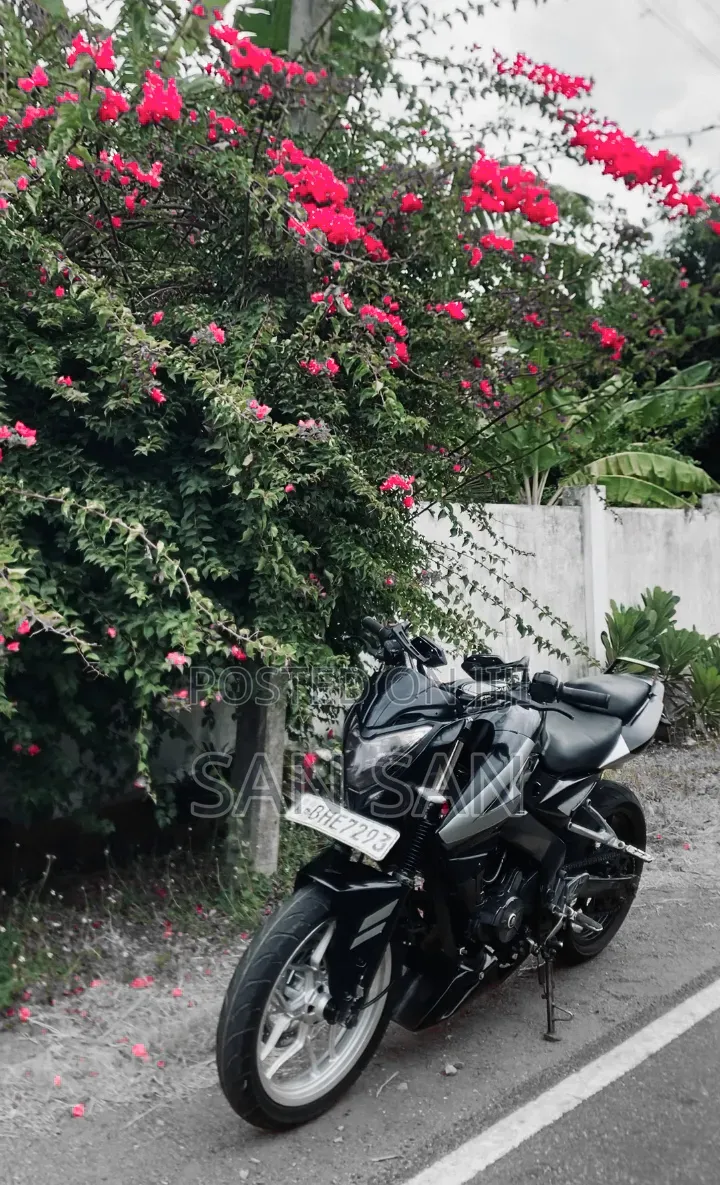 Bajaj Pulsar NS 200 2018 Black